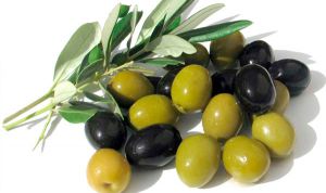 معرض الزيتون وزيته اليوم ببني عمران