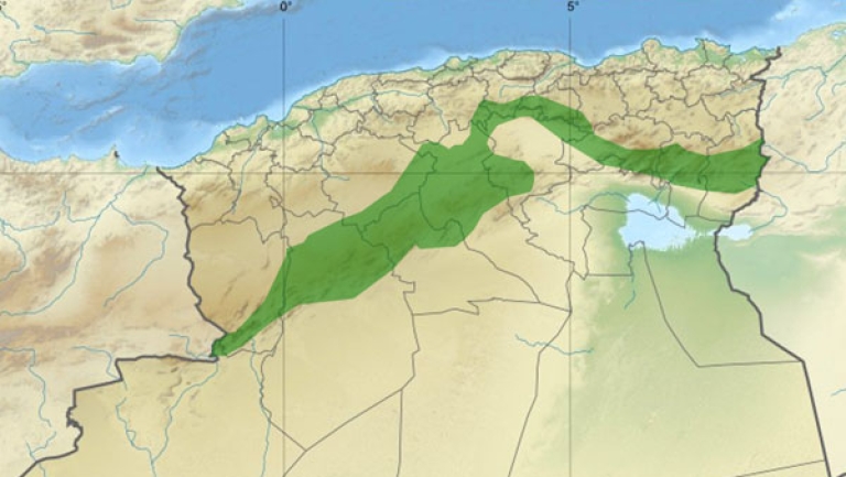رئيس الجمهورية يدعو لإشراك المؤسسات الناشئة والشباب