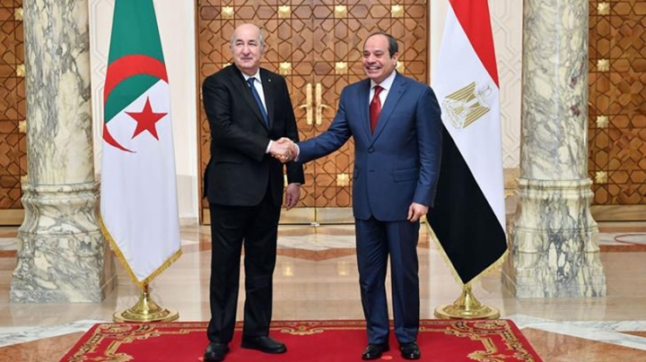 بين الجزائر ومصر مسيرة حافلة من النضال