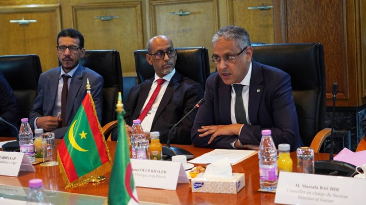 تقديم الخبرة الجزائرية لموريتانيا في مجالات الكهرباء