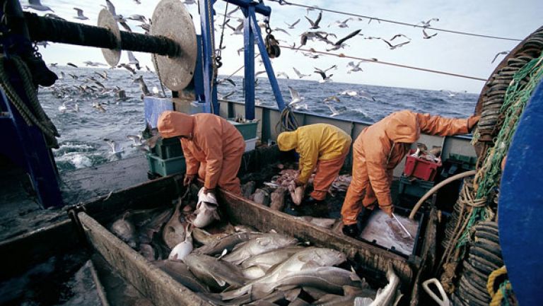 إجبار الصيادين على ارتداء الأقنعة والالتزام بتدابير الوقاية