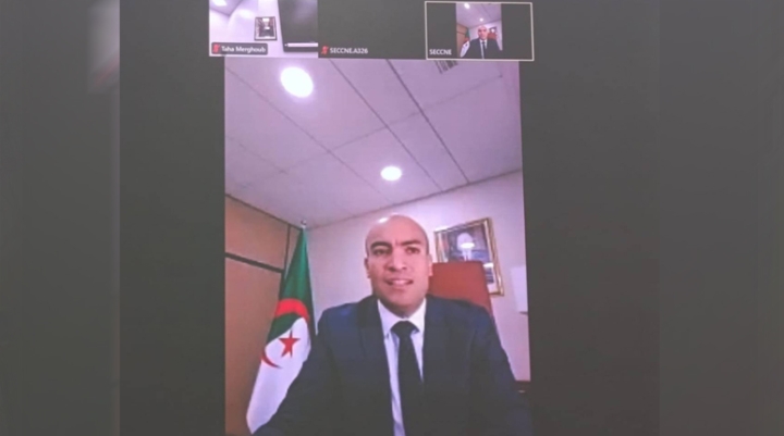 تشجيع انخراط الكفاءات الوطنية بالخارج في التنمية الوطنية