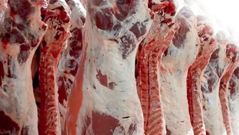 استقرار أسعار اللحوم مرهون برفع الإنتاج