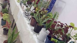 1307 فلاحة مستفيدة من دعم الدولة