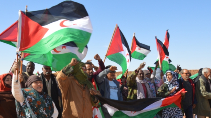 القضية الصحراوية.. نشاط سياسي وحضور إعلامي مميّز