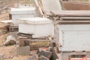 حريق يتلف عشرات صناديق النحل