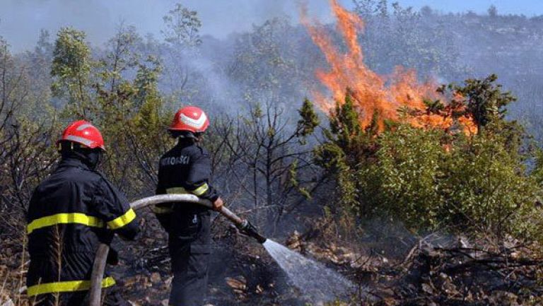 إعداد مخطط لمكافحة حرائق الغابات