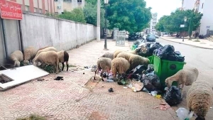 بدون تعليق