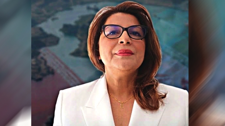 الجزائر فاعل رئيسي في السوق الطاقوية الإفريقية
