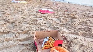 بدون تعليق