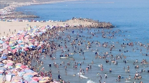 270 مليون دينارلإنجاح موسم الاصطياف