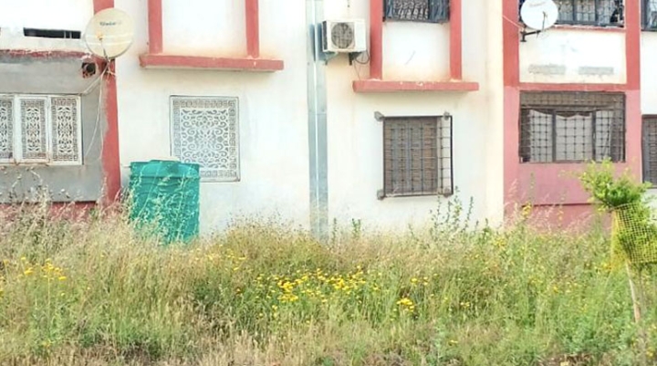 الحشائش تغزو الأحياء السكنية بقالمة