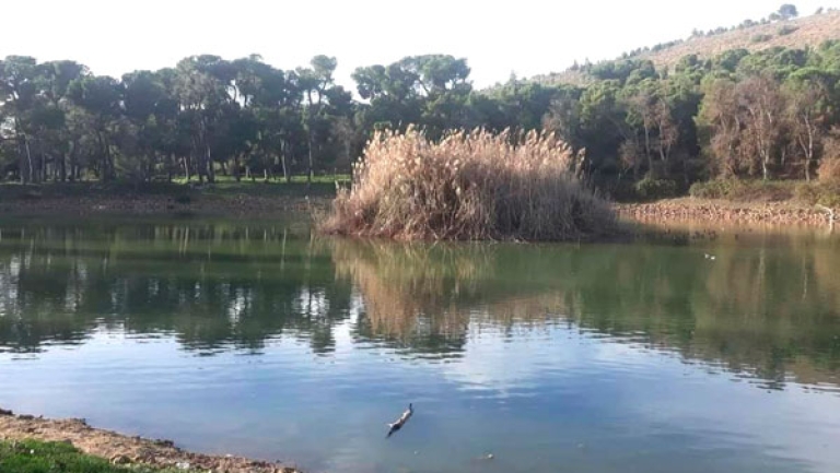 "جبل الوحش" بقسنطينة وجهة سياحية بامتياز