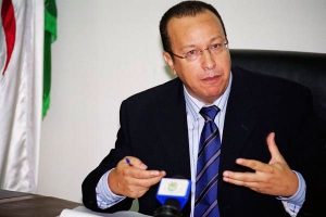 شعبة الطماطم تحتاج إلى منهجية تسيير