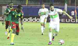 مدرب الكاميرون يستدعي 23 لاعبا لمواجهة «الخضر»