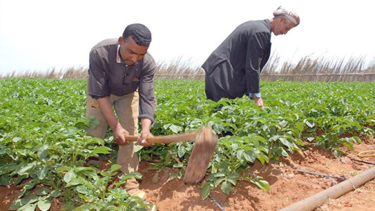 1887 فلاح بدون عقود ببومرداس