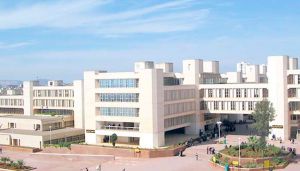 "الانغماس اللغوي بين التنظير والتطبيق "موضوع ملتقى بوهران