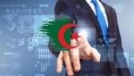 الرقمنة استراتيجية متكاملة.. والمعاملات المالية أولوية