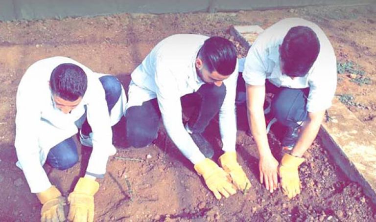 تخصصات تكوينية تنسجم وخصوصيات التنمية المحلية