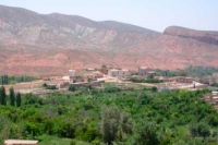 انشغالات المواطنين من أولويات الوالي