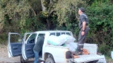 حجز كميات معتبرة من الفلين المهرب بأم الطوب