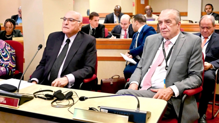حسن الجوار شرط أساسي لتحقيق الأمن الجماعي في إفريقيا