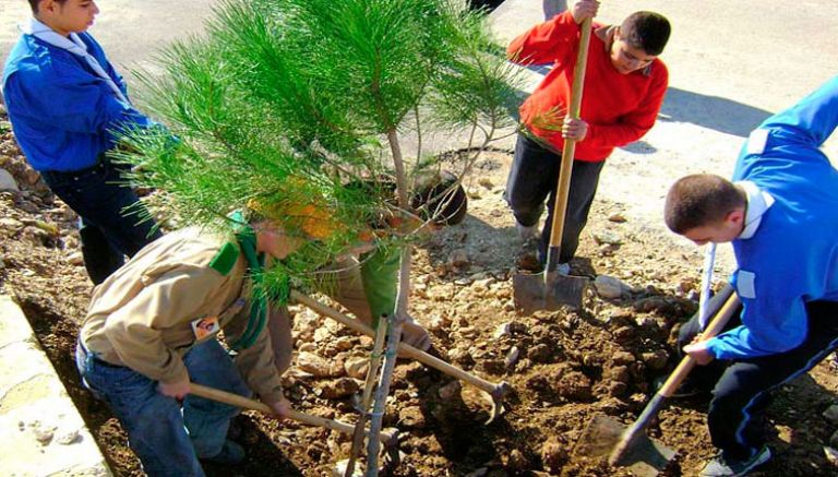 60 جمعية بيئية مهددة بالزوال بتيزي وزو