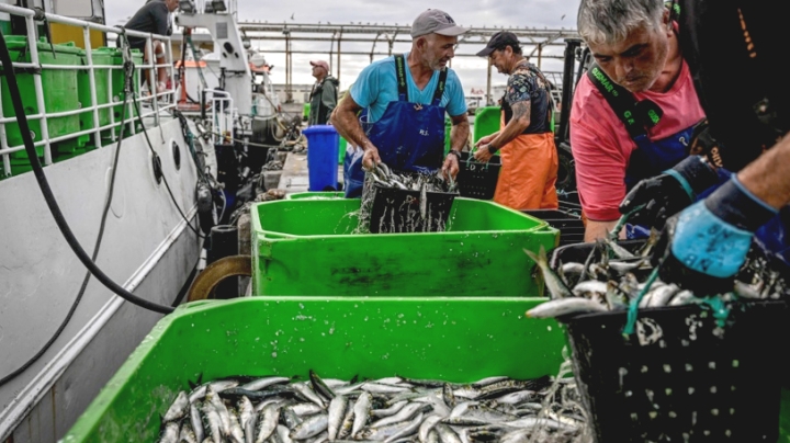 مخطط عمل لثلاث سنوات لاستغلال الثّروة السمكية الكامنة