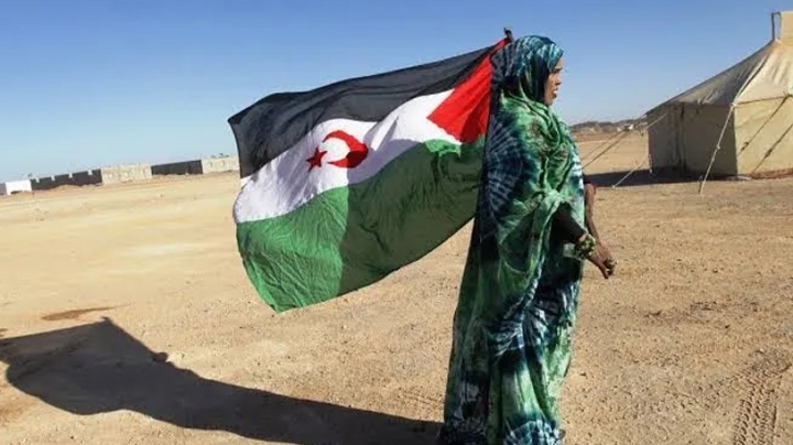 فشل نظام المخزن في التلاعب بالحقائق حول الإقليم المحتل