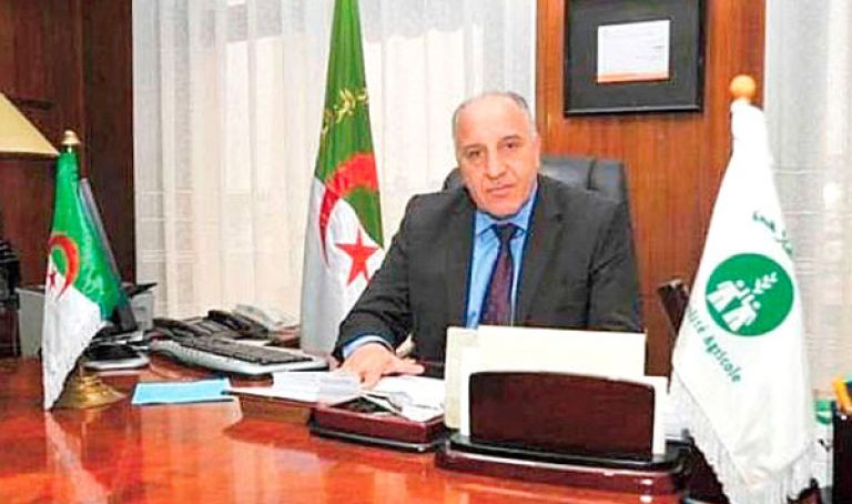 مدير الصندوق الوطني للتعاون الفلاحي: 6,8 بالمائة فقط من مربي الدواجن مؤمّنون
