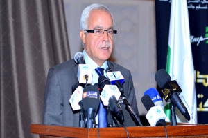 ٨٠٪ من الإشهار يذهب إلى الخواص، وفوضى القنوات لن تستمر