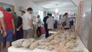 تكامل السياحة والرياضة خدمة للتنمية