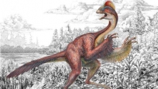 ”دجاجة جهنم”.. ديناصور عمره 66 مليون عام
