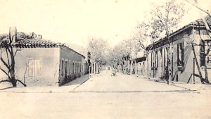 مدينة البيض