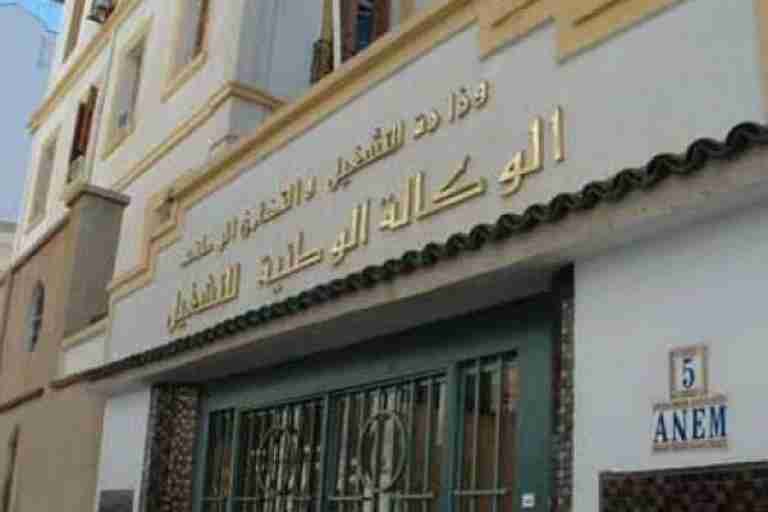 هناك عجز بأكثر من ألفي منصب شغل في مجال البناء