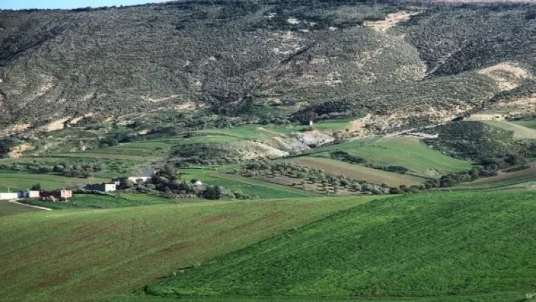 برامج تنموية هامة لدعم الاقتصاد الريفي ببومرداس