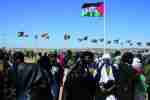 الحكومة الإيرلندية تجدد دعمها لتقرير مصير الشعب الصحراوي