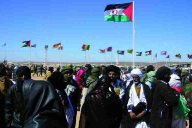 الحكومة الإيرلندية تجدد دعمها لتقرير مصير الشعب الصحراوي