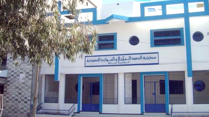 استزراع 3 آلاف من صغار سمك "التيلابيا"