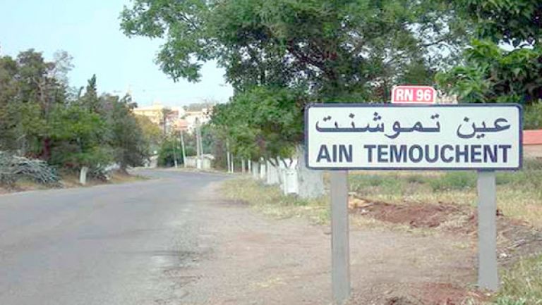 توجيه 625 إعذارا واسترجاع 167 هكتارا غير مستغل