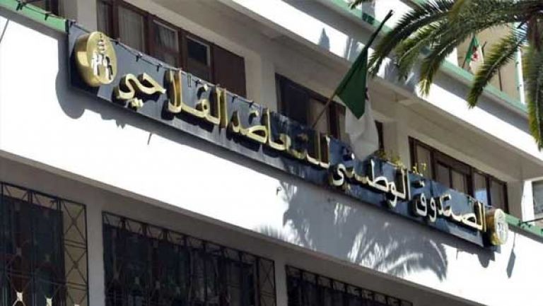 إطلاق عرض "الصياد المحترف" بتخفيضات مغرية