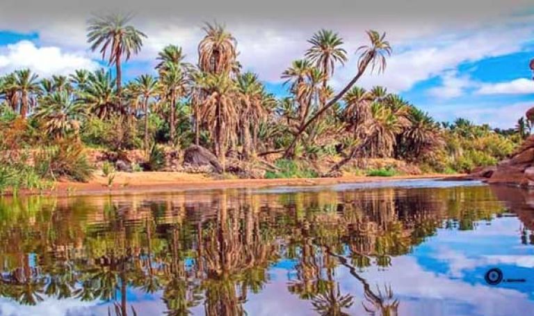 إطلاق دراسة لردّ الاعتبار