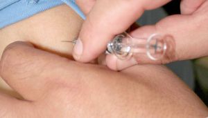 نسبة التلقيح لم تتجاوز 37 بالمائة