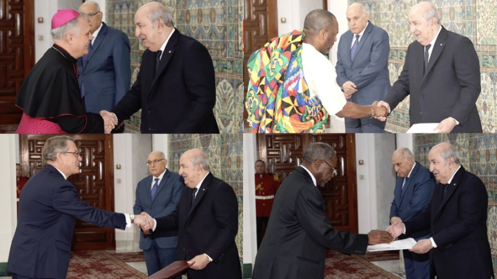 انبهار.. تعاون وشراكة مع الجزائر