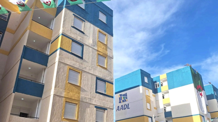 التزامات تتجسد