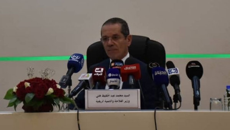 مشروع قانـون لتجريم ذبح إناث الأغنام والأبقار