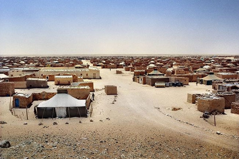 تثمين دور الجزائر في حماية حقوق وحريات اللاجئين