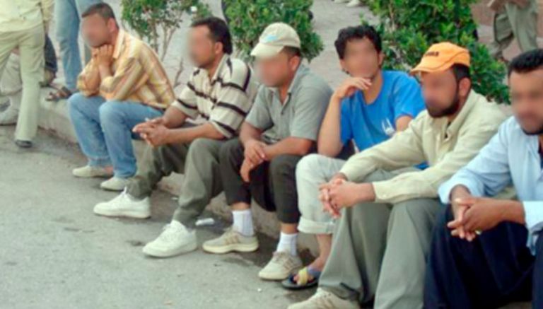 استراتيجية جديدة لامتصاص البطالة