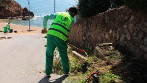 ضبط آخر الترتيبات لاستقبال زوّار "روسيكادا"