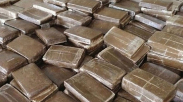 حجز أكثر من 1 طن من القنب الهندي و352 كلغ من الكوكايين